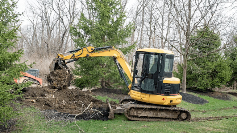 tree root removal orig orig 768x432