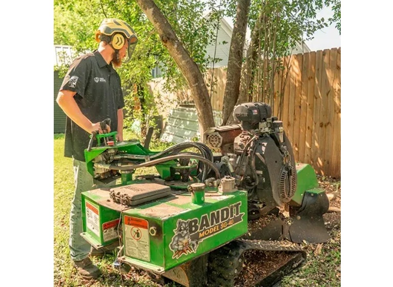 tree scouts tree service 2