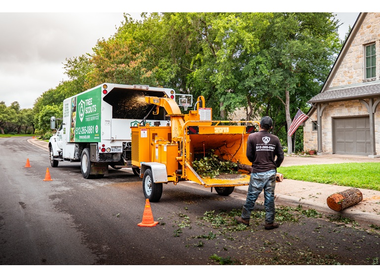 tree scouts tree service 4