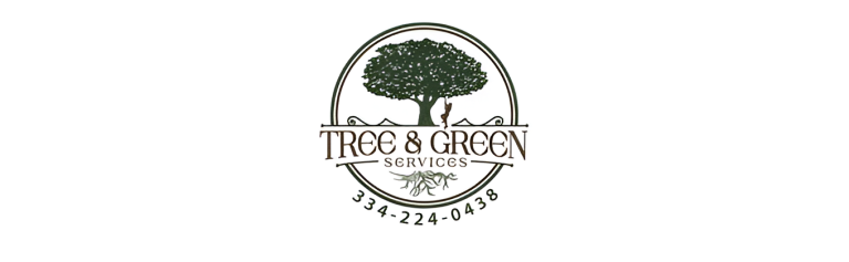 treeNgreen logo1 768x237