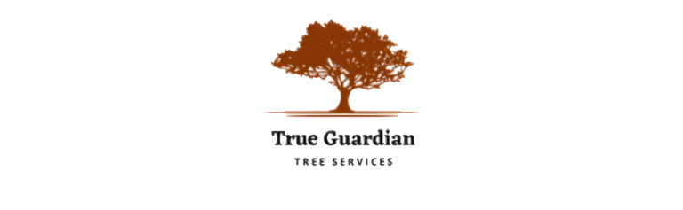 true guardian logo 1 1 768x237