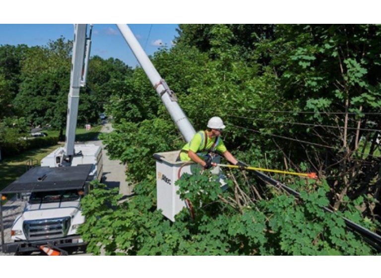 united tree care llc 1