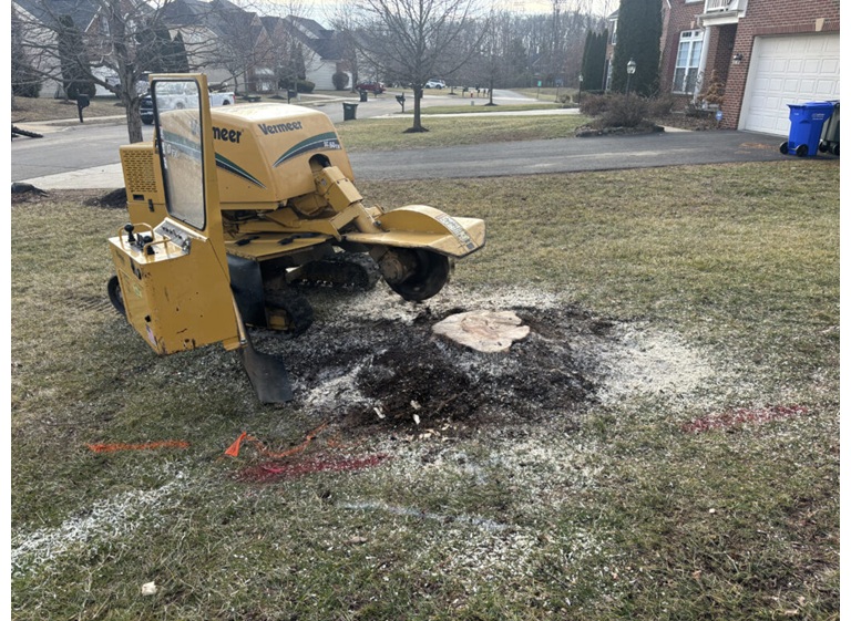 united tree care llc 2
