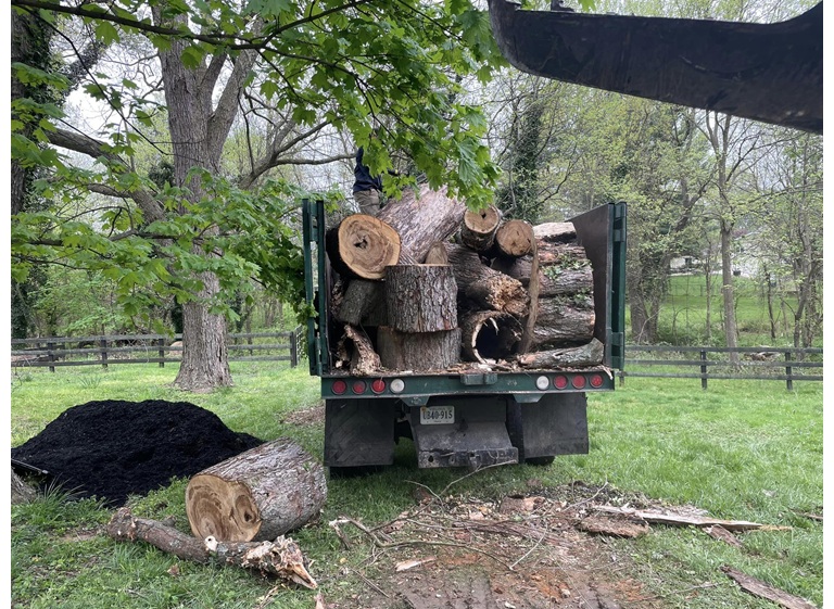 united tree care llc 3