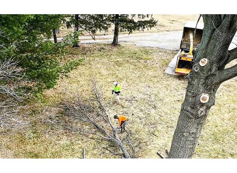 united tree care llc 4