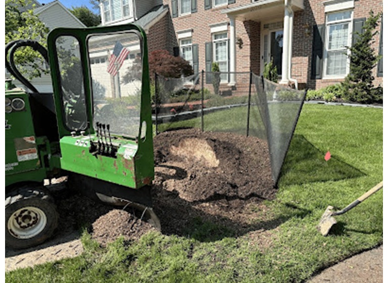 united tree services 3