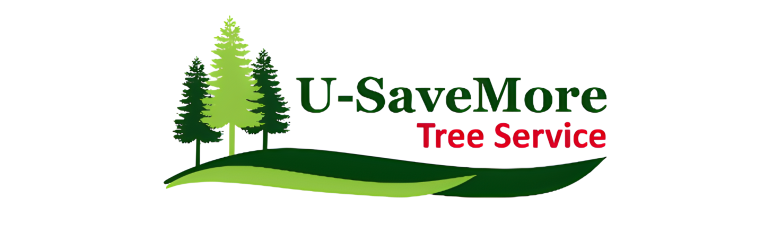 usavemore 1 1 768x237