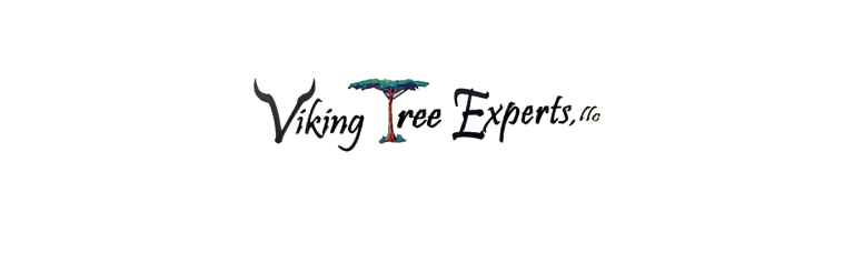 viking logo1 2 768x237