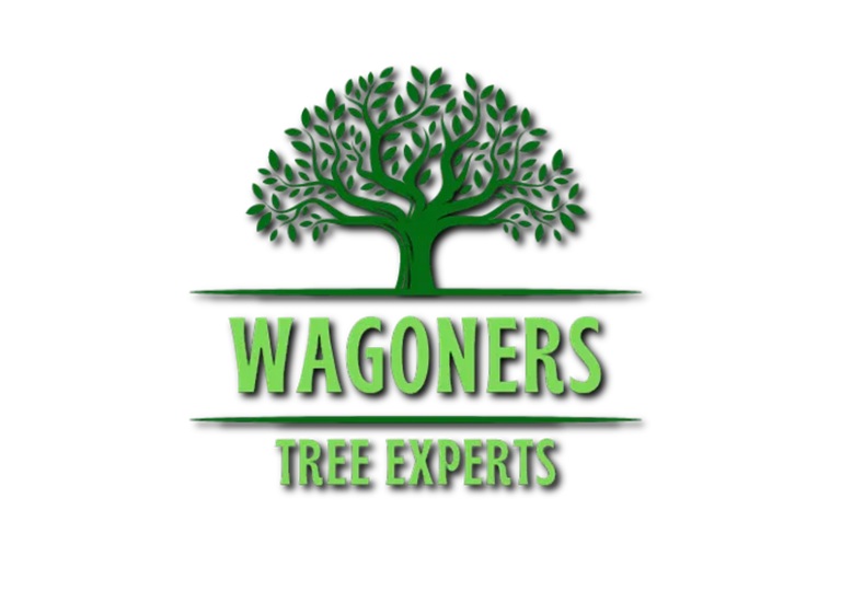 wagoners tree experts logo