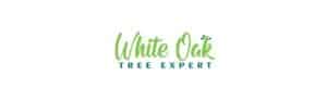 White Oak Tree Expert logo