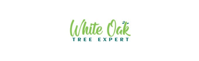 white oak tree expert banner 1