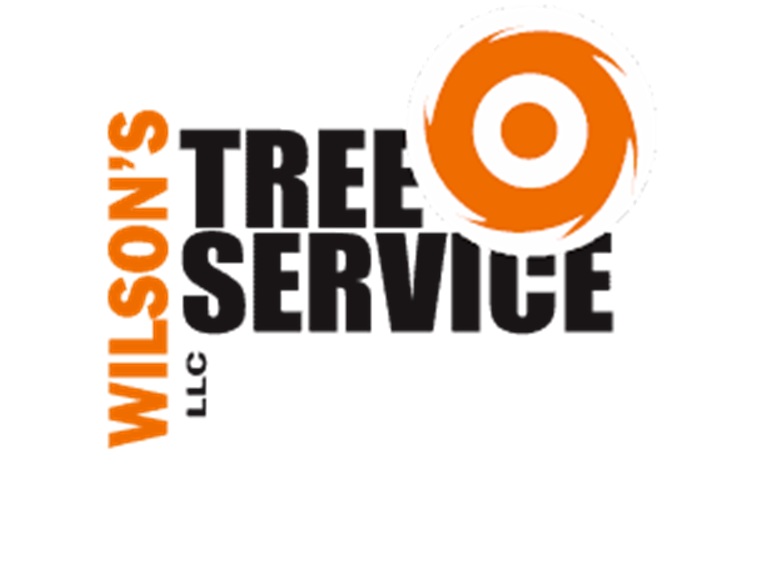 wilsons tree service llc logo