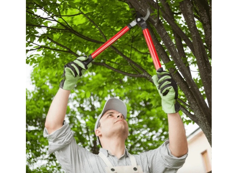 woodinville tree care pros 4
