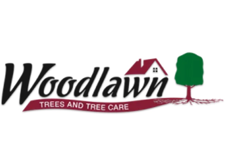woodlawn trees logo