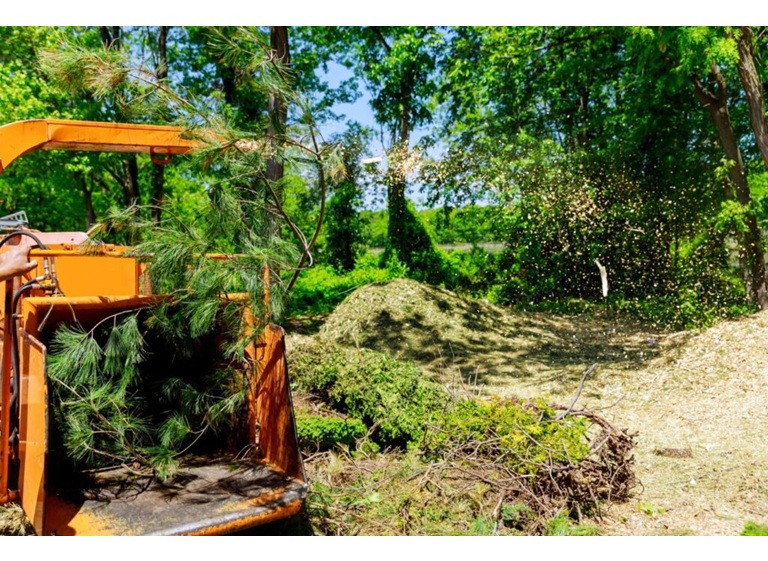 worcester tree service pros 1