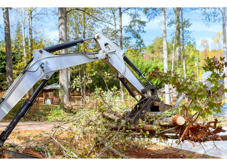 worcester tree service pros 2