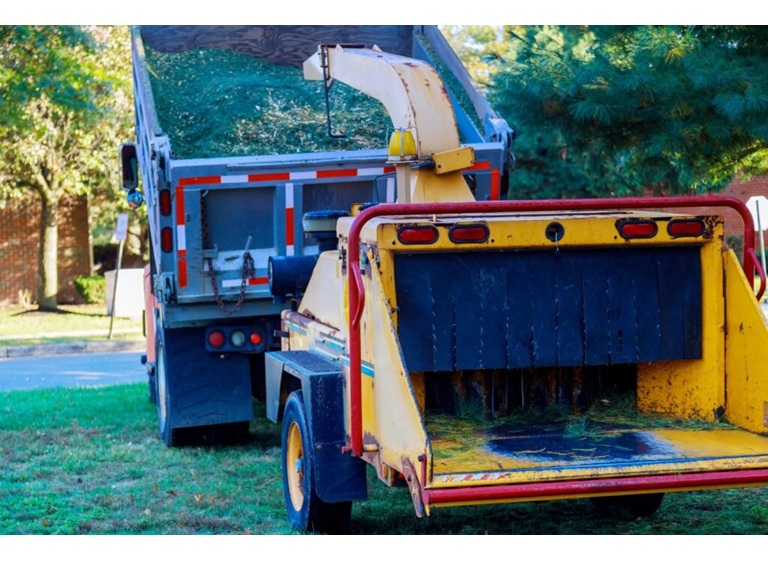 worcester tree service pros 5