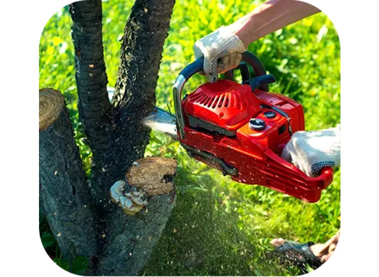 xtreme tree clearing 2