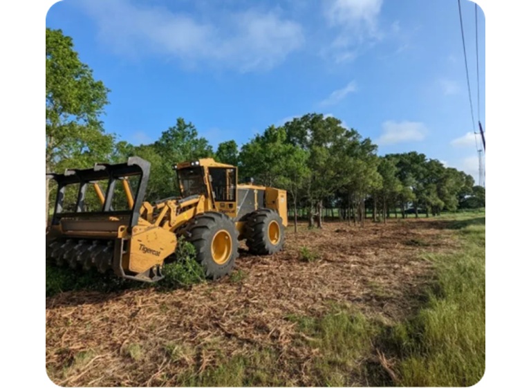 xtreme tree clearing 3