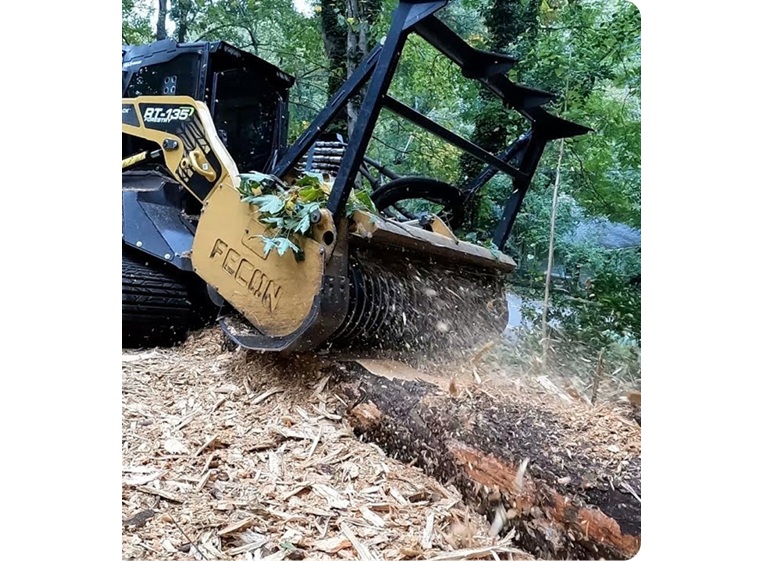xtreme tree clearing 4