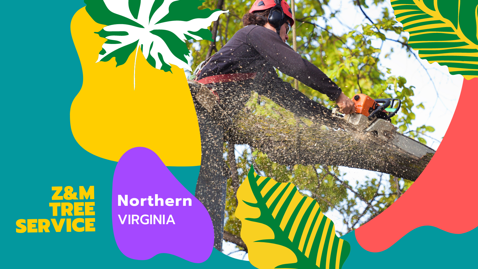 Z&M Tree Service Culpeper, Virginia TreeCareHQ