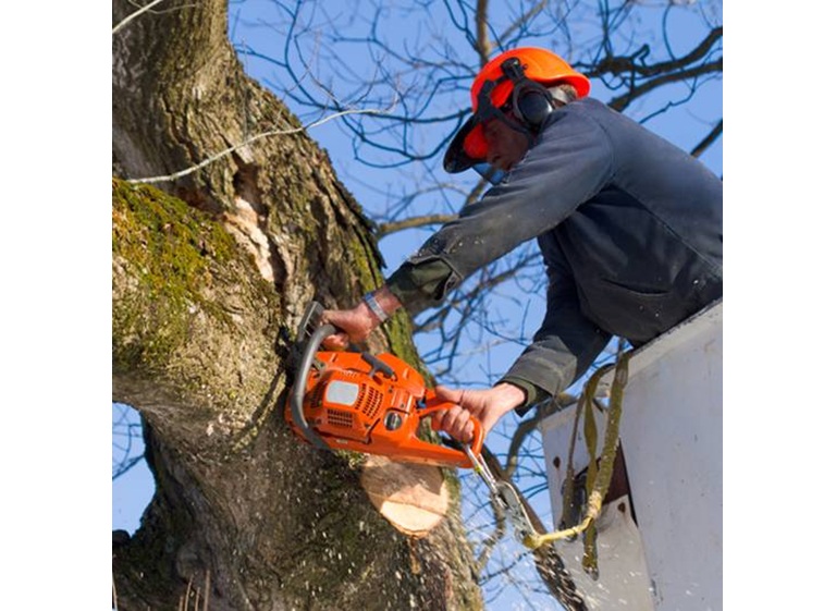 zs outdoor services 4